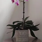 Bed & Breakfast D'hotes Du Muguet Avec Sdb Privative