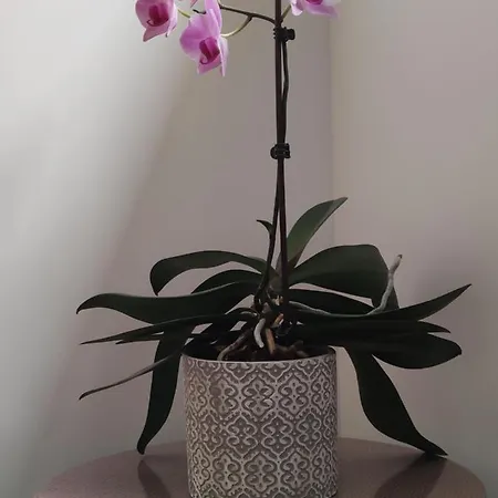 Bed & Breakfast D'hotes Du Muguet Avec Sdb Privative